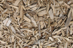 biomass boilers Langaford